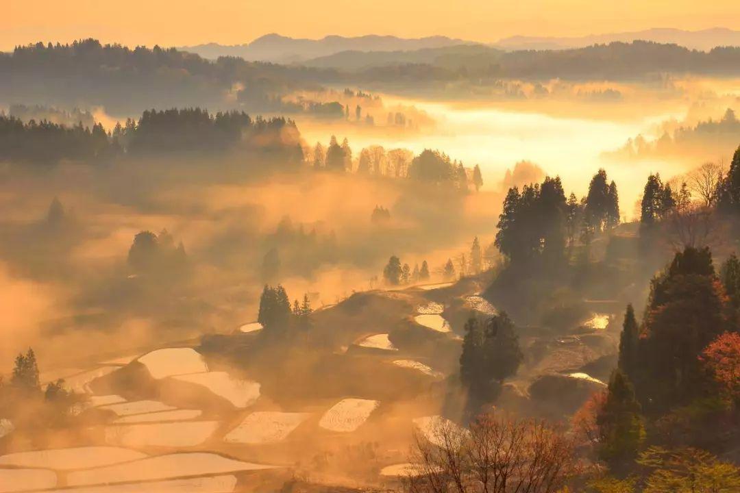 红色系